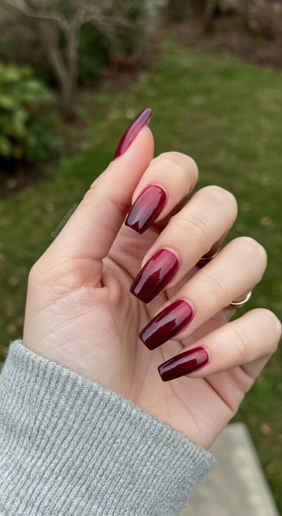Sultry Burgundy Fade